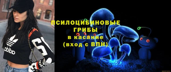мяу мяу мука Алексеевка