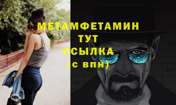 твердый Гусев